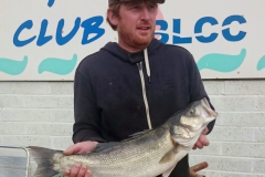 Bass-1