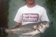 Bass-3