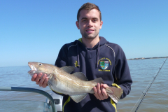 Cod-1