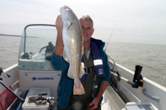 Cod-2