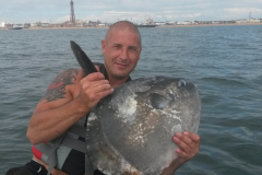 Sunfish1