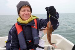 Tub-Gurnard-1